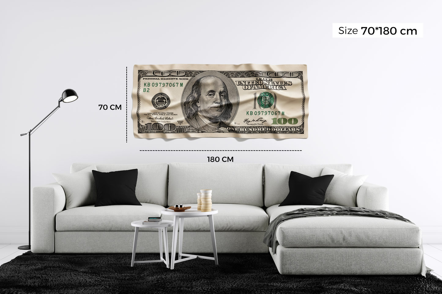 100$ dollar DF48