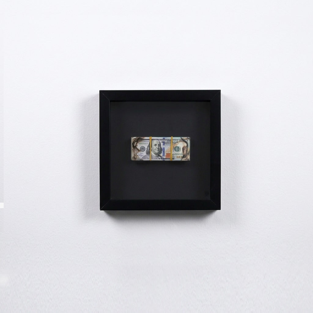 Follow the Money Emergency Box AR085