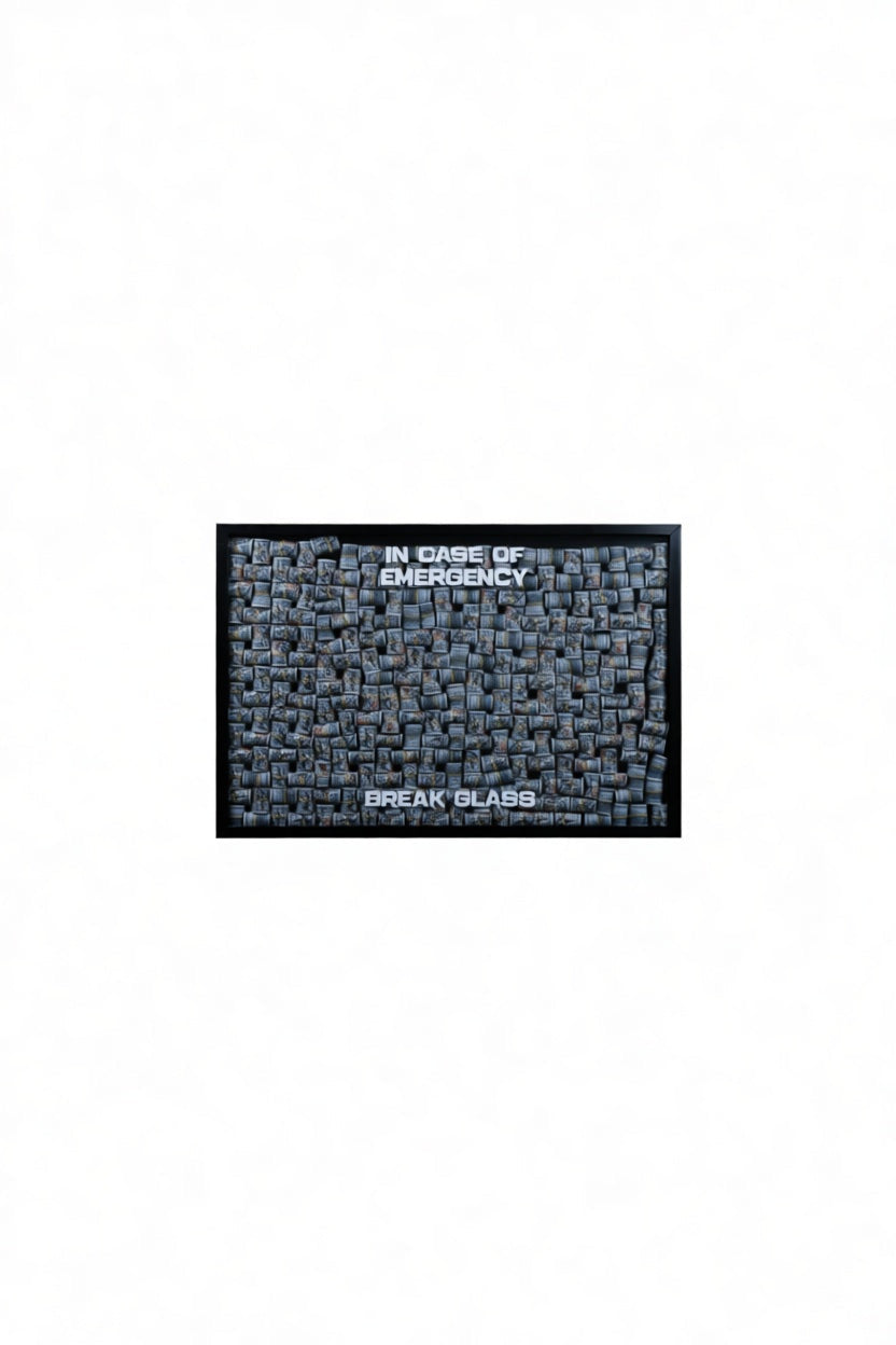 Real Value Emergency Box AR081