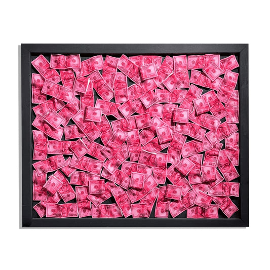 Pink Money Wall Dollar Sign